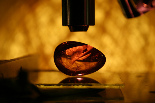 Ámbar, la retina fósil de color amarilla