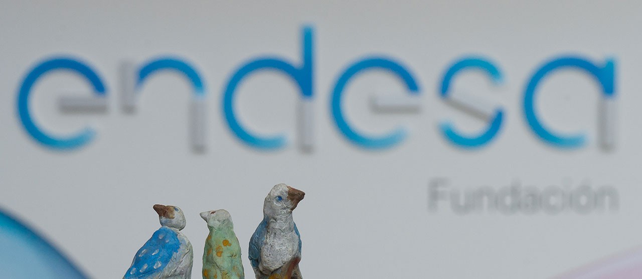 Logo de endesa y la figura de Ecoinnovación