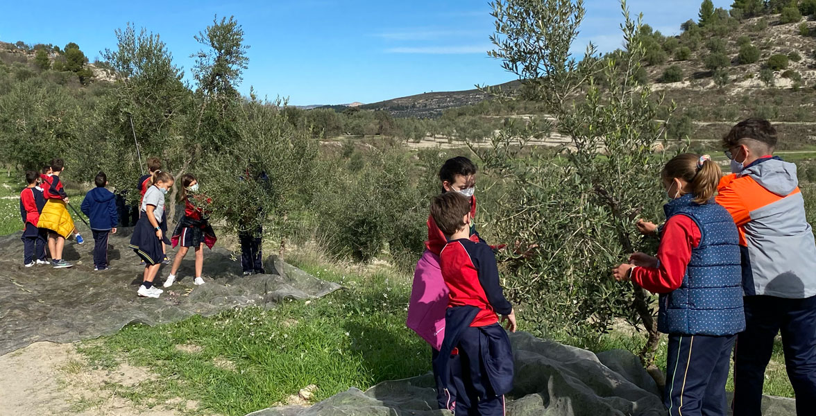 Colegio San Roque (Alcoy, Comunitat Valenciana)